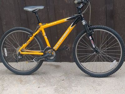 Schwinn mesa GS mtn bike