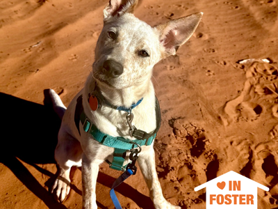 Hello my name is Sequin