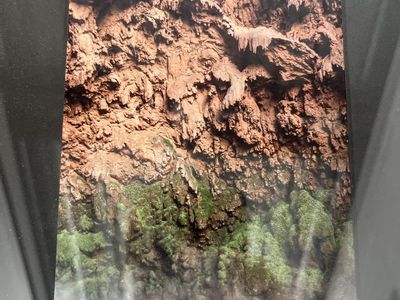 Mooney Falls Wall -Grand Canyon Waterfall Framed Photograph Nature Landscape Art Print