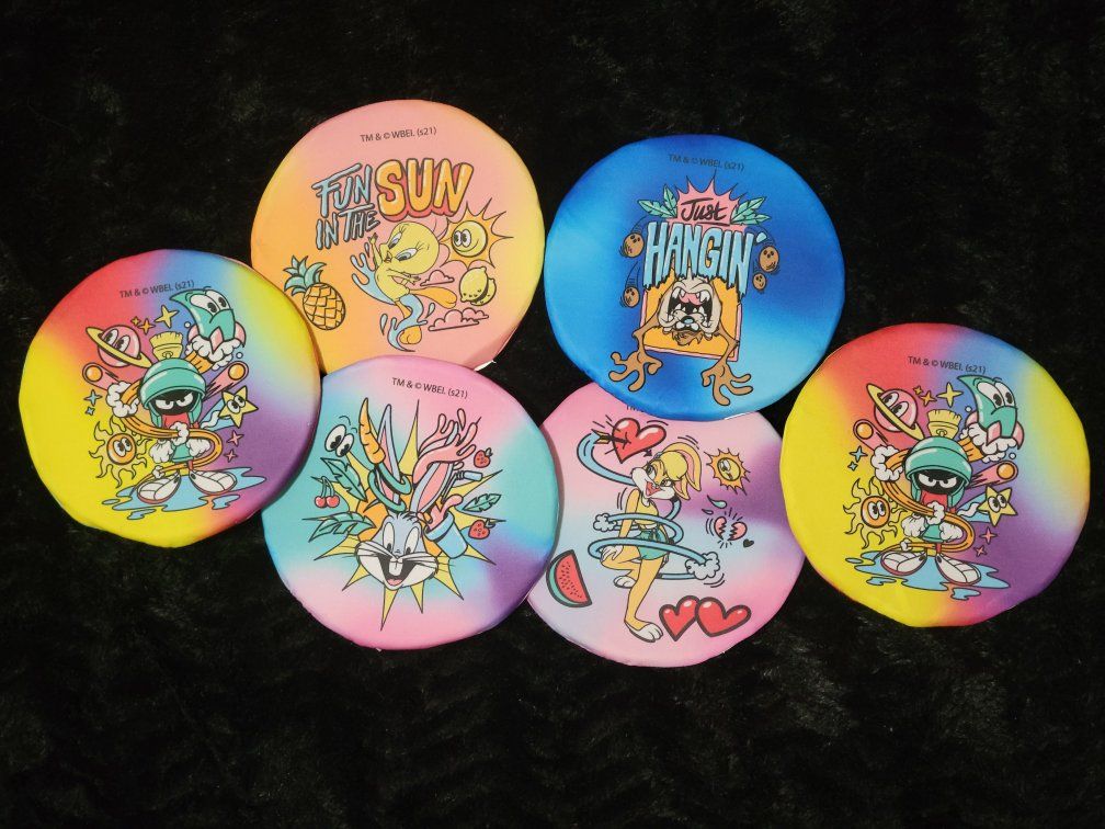 Warner Bros/Looney Tunes Water Frisbees