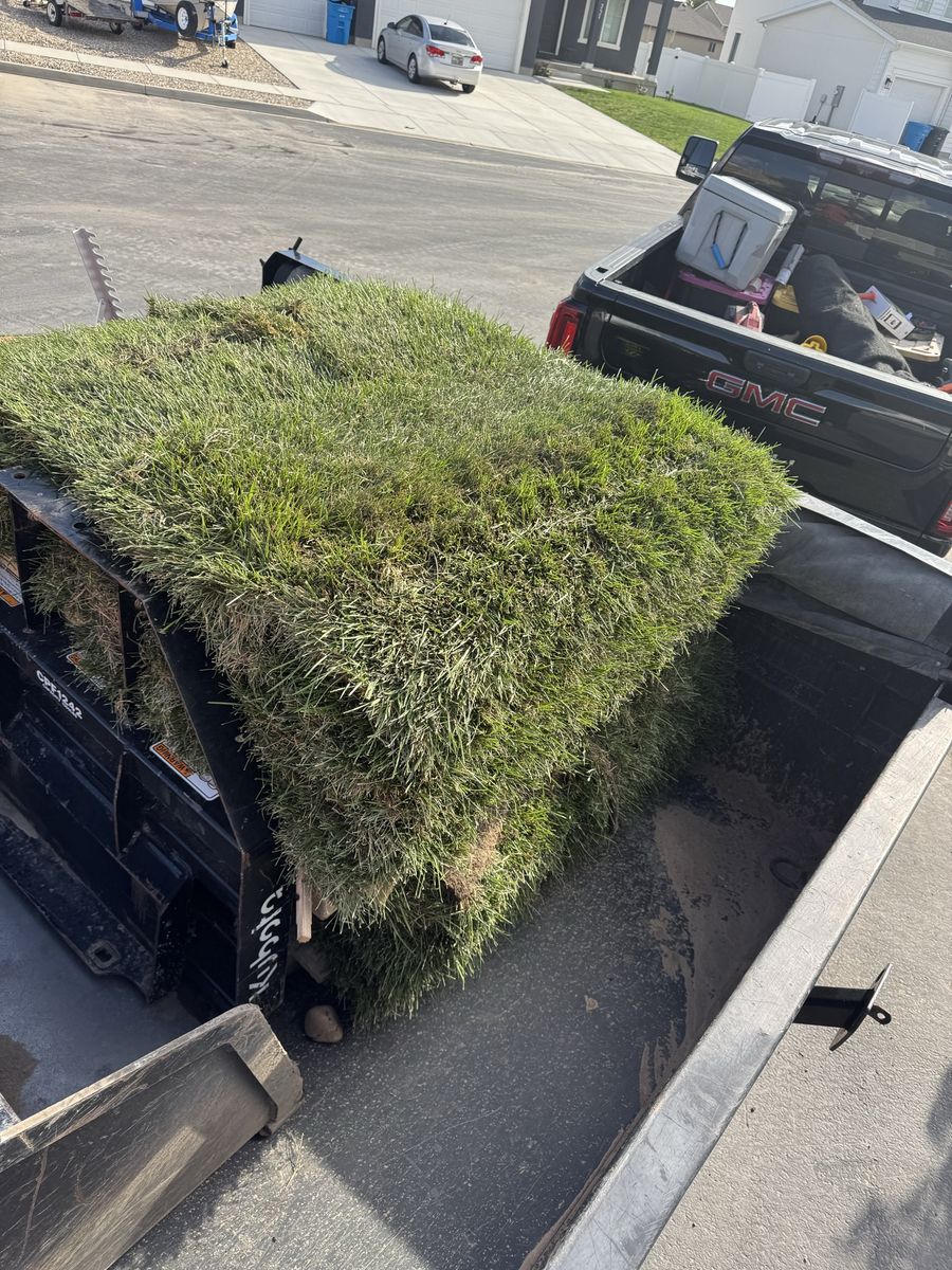 Sod / grass for sale