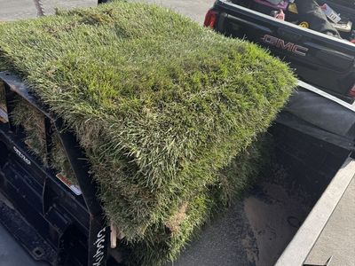 Sod / grass for sale