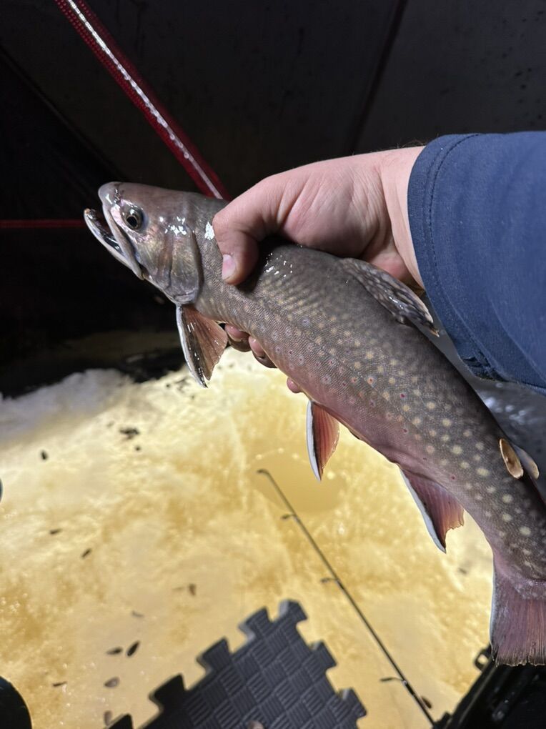Dream Ice Fishing Setup