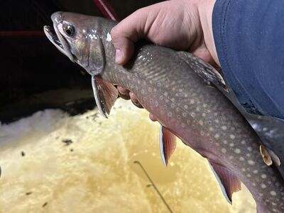 Dream Ice Fishing Setup