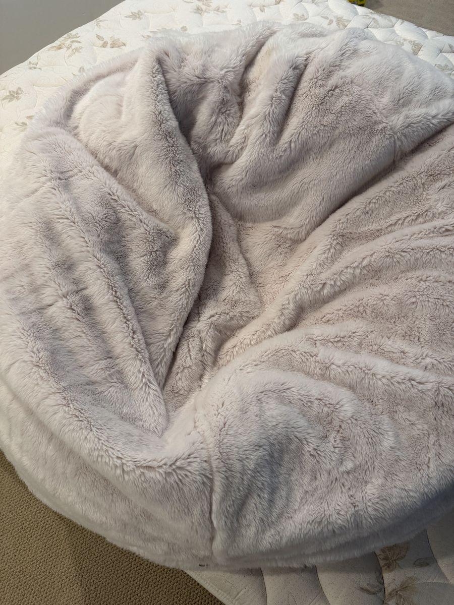 Pottery barn teen bean bag