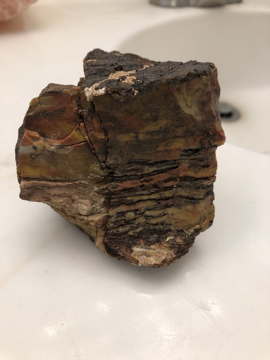 Natural Petrified Wood Rough Mineral Specimen Chunk