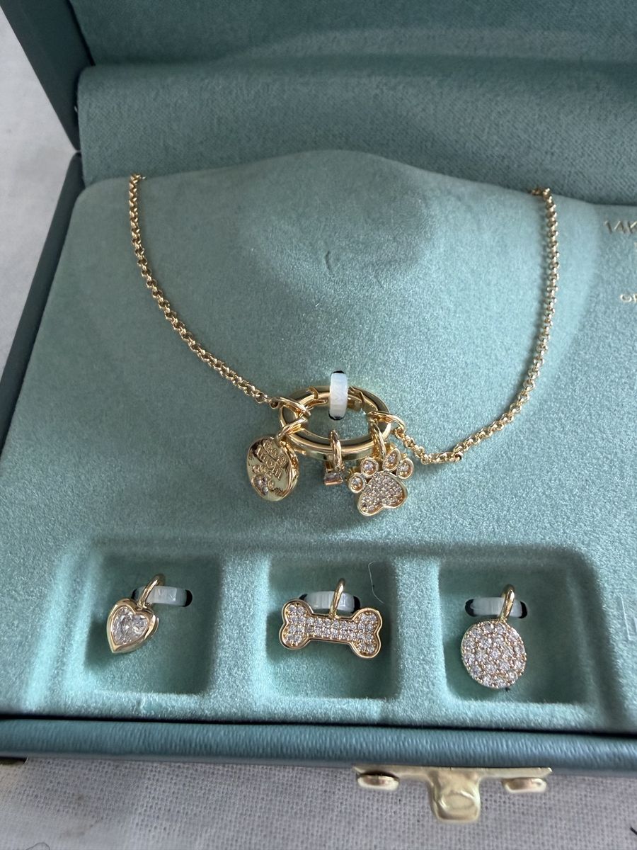 Custom Charm Bar Gold Plate Necklace with Paw Print, Bone, Heart, and Disc Charms