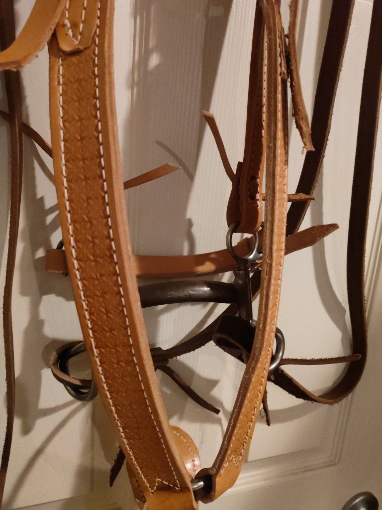 Main image 6