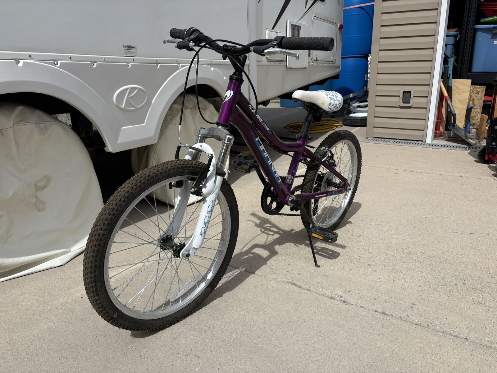 Piranha Girls Youth Bike (Purple)