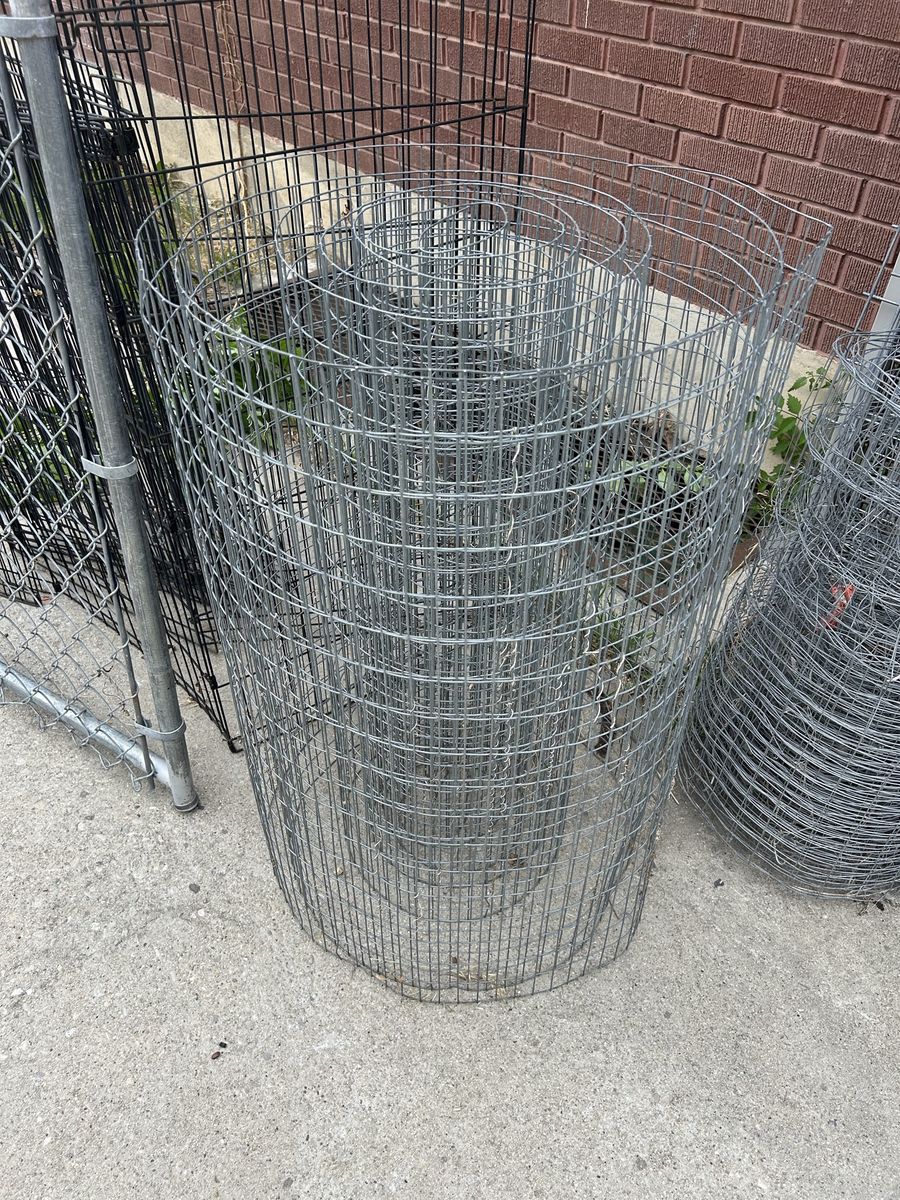 Main image 5