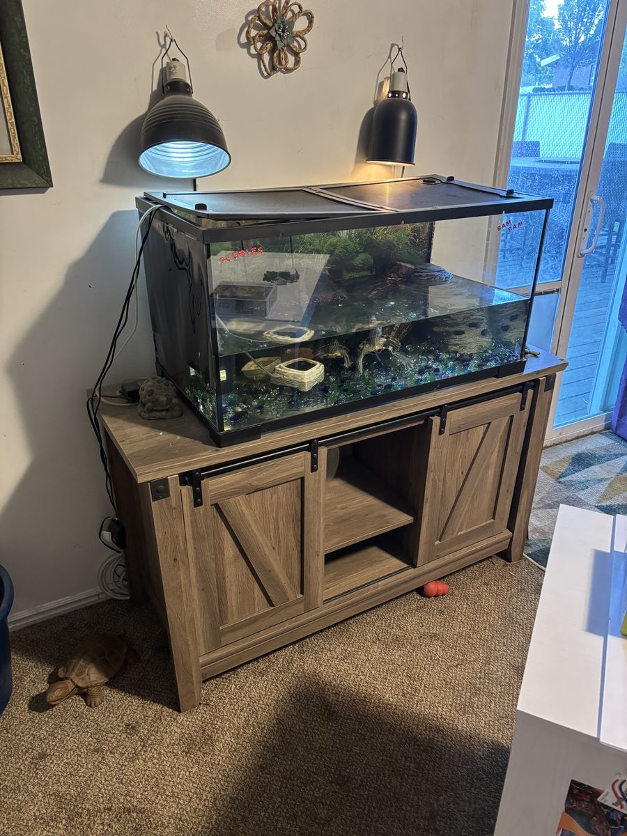 55 gallon tank, turtles and stand
