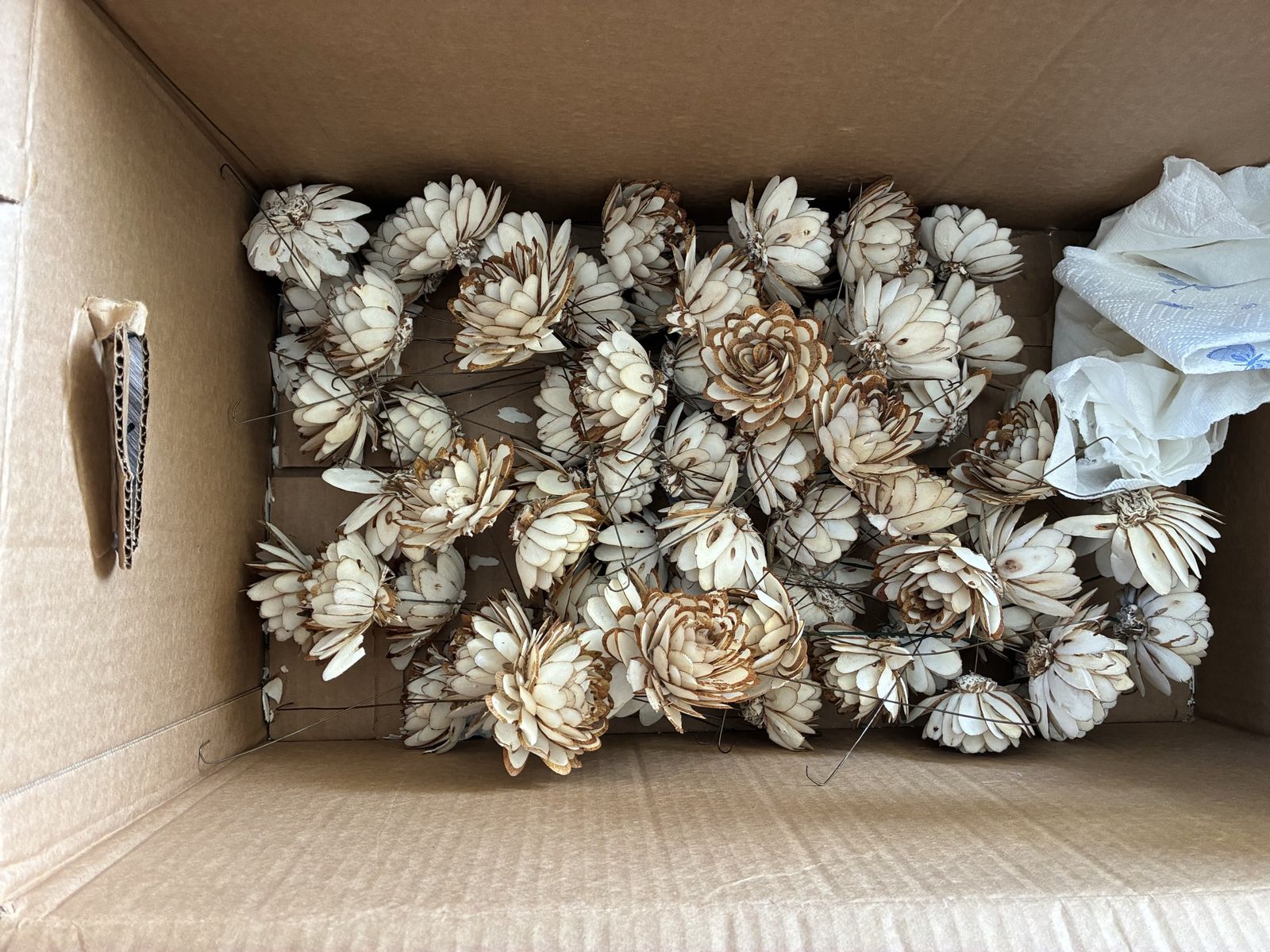Undyed Wooden Sola Flowers - Wedding Decor & Craft Supplies