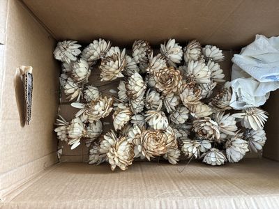 Undyed Wooden Sola Flowers - Wedding Decor & Craft Supplies