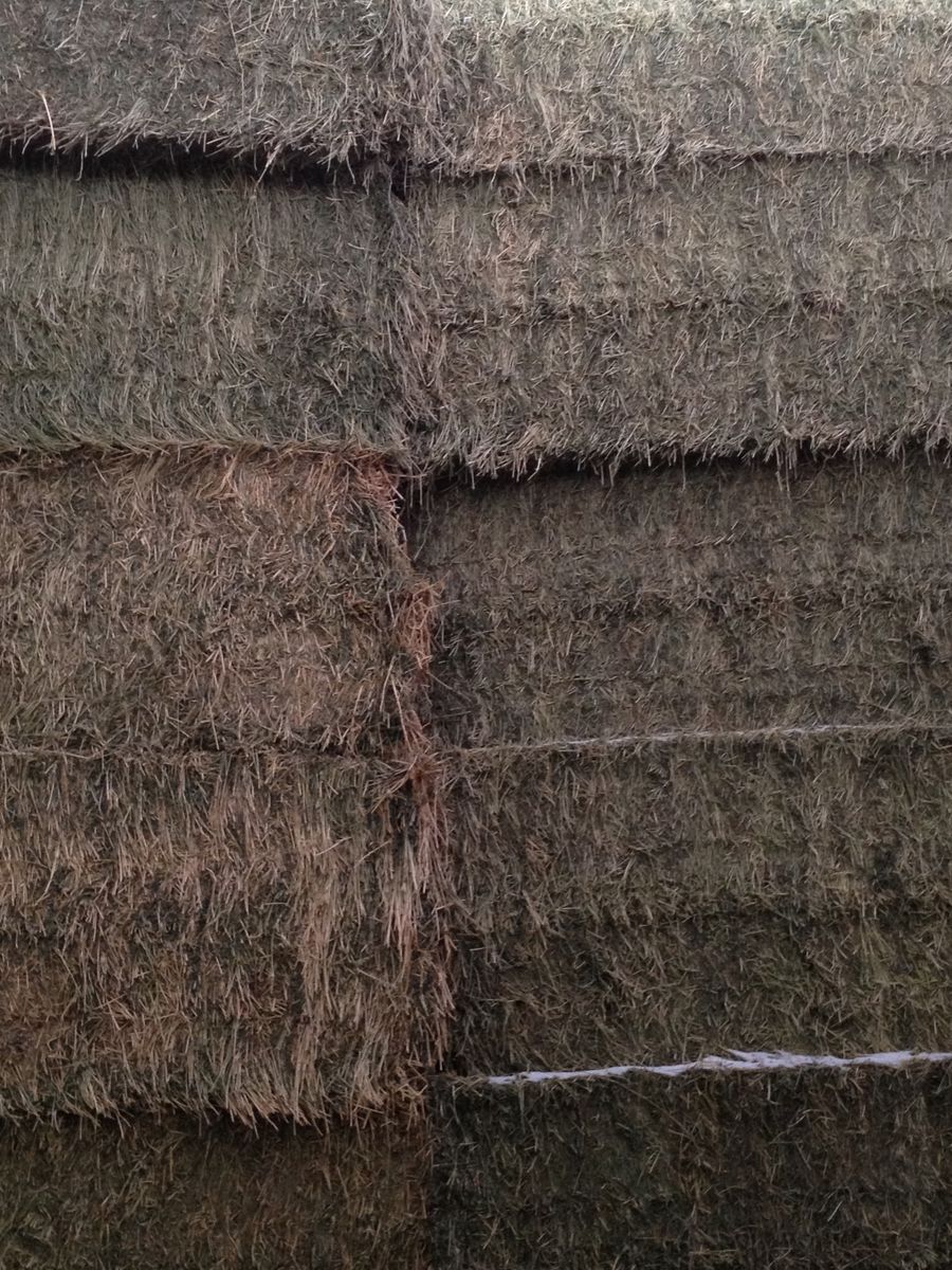 Feeder Hay