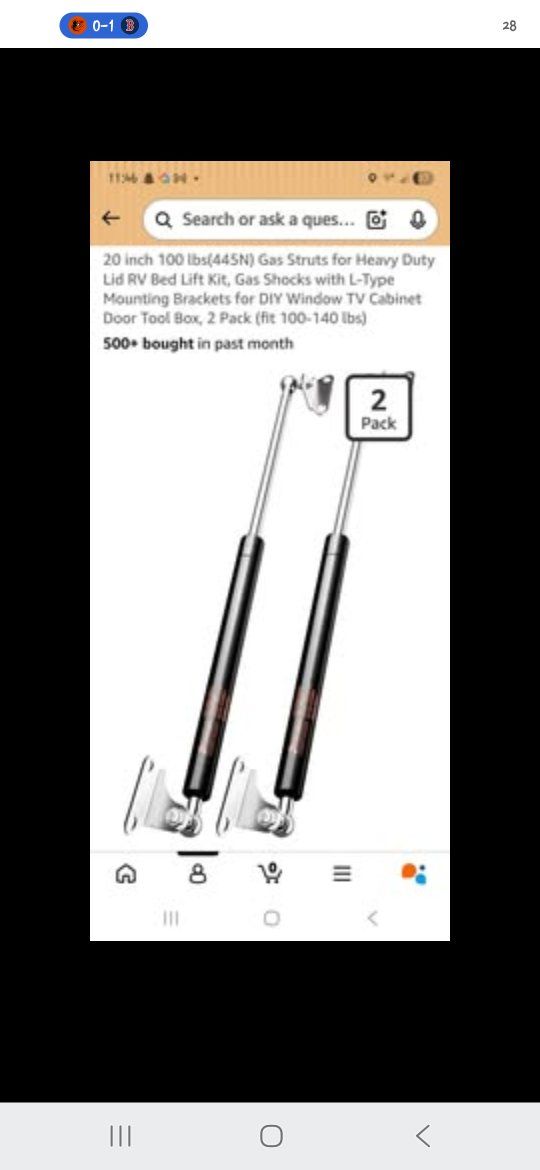 Gas Struts