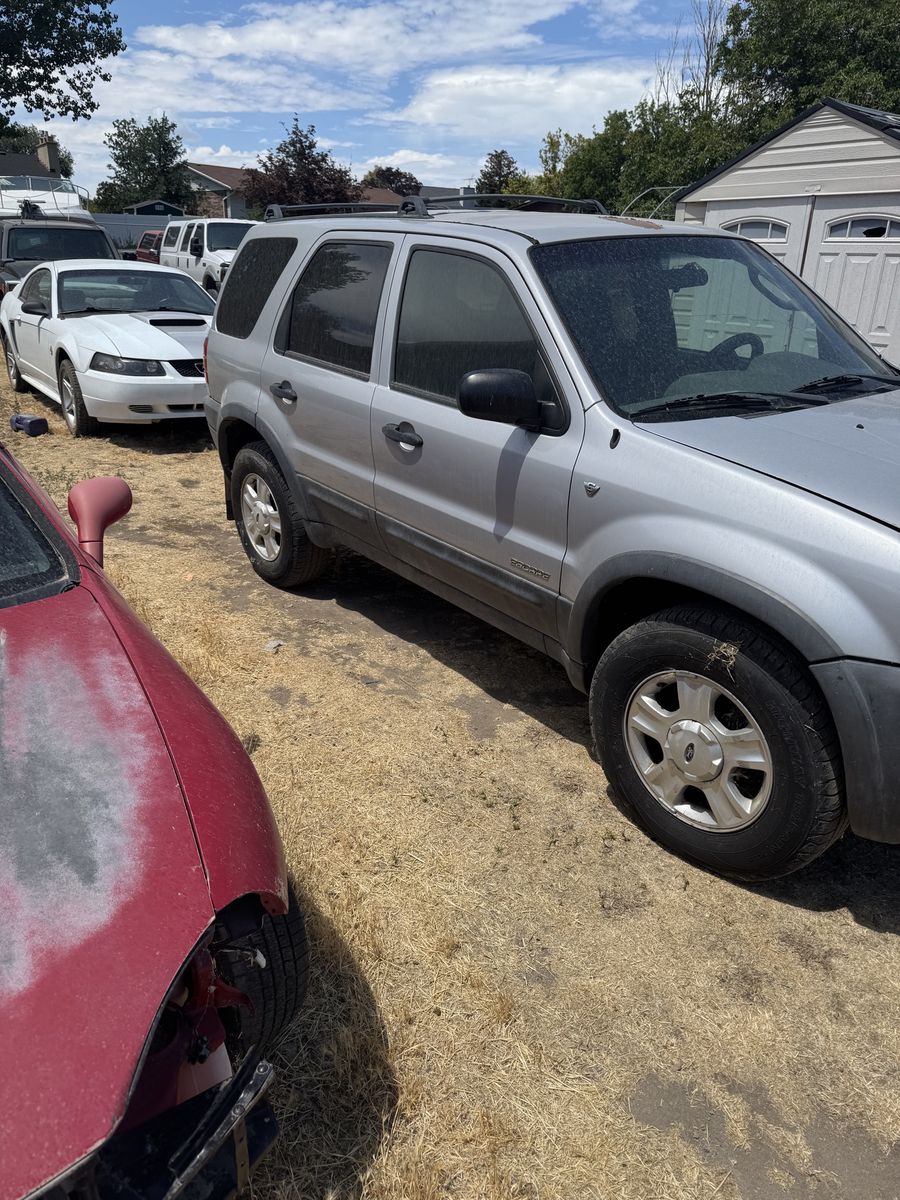 Ford Escape XLT SUV - Silver - Runs, Needs Work