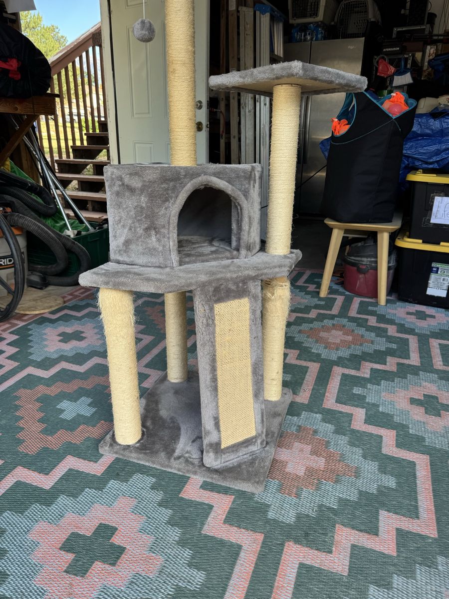 Main image 9