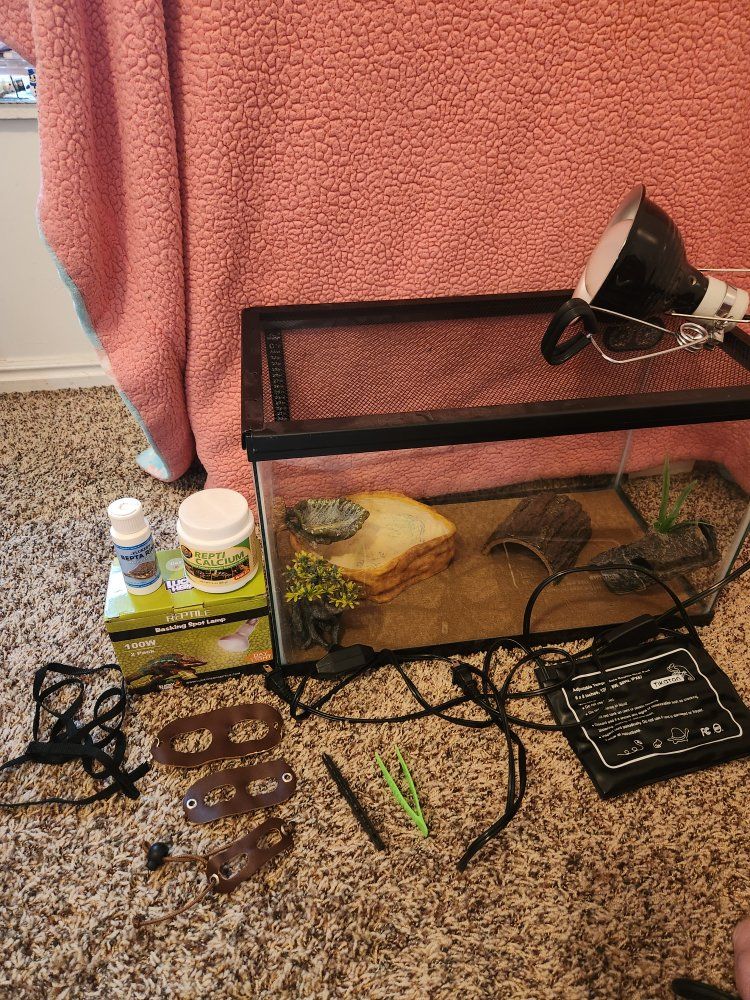 10-Gallon Reptile Tank and Accessories