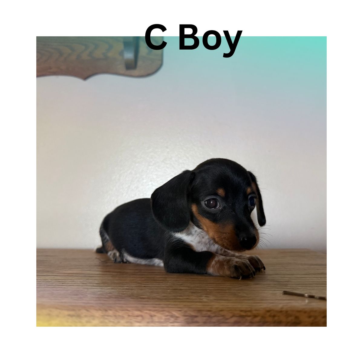 Main image 3