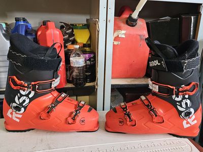 Ski boots