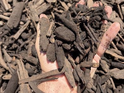5 cubit yards dark wood chips delivered!