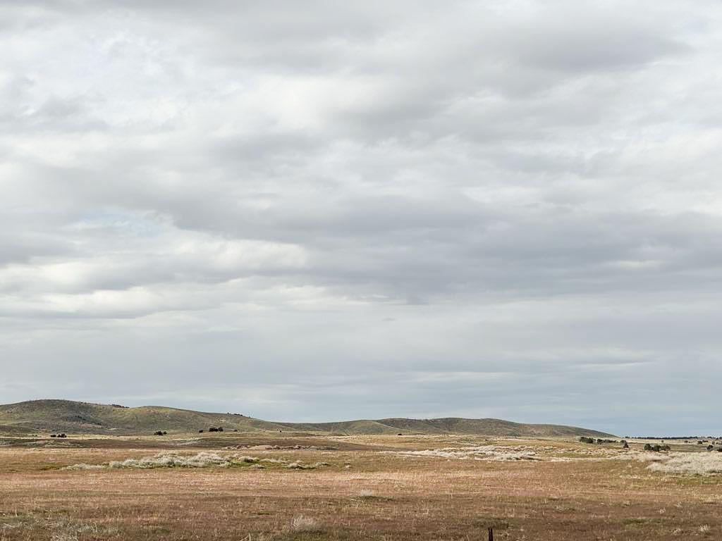 Main image 17
