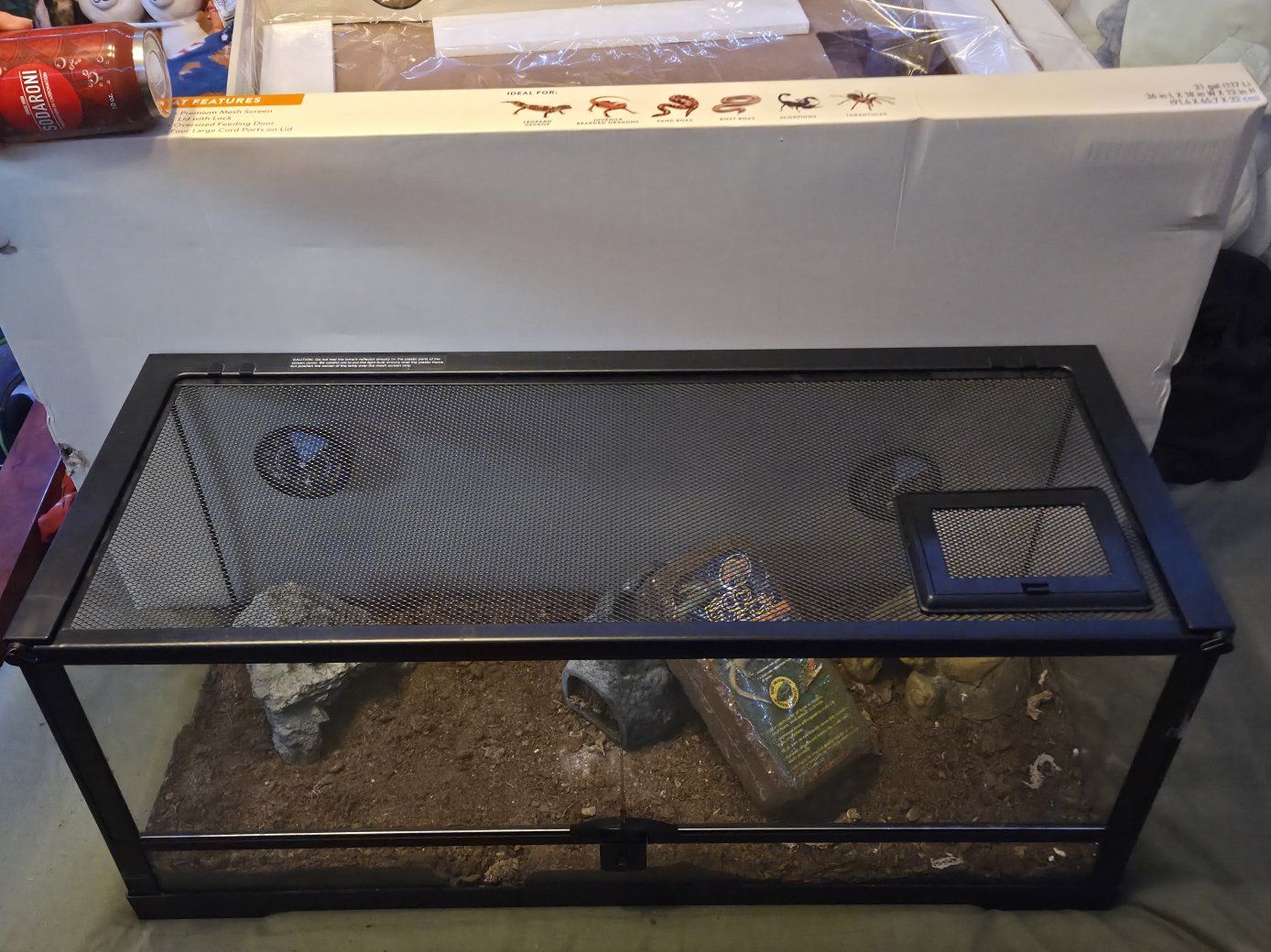 Lepard Geko  Starter 20 Gallon Tank w/accessories