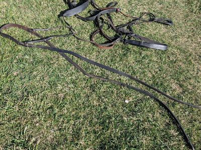 Leather horse harness with britching