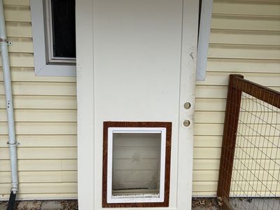 Door with dog door installed