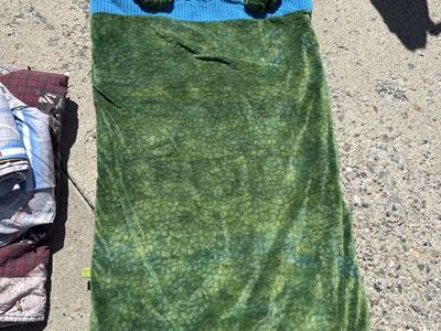 dinosaur sleeping bag