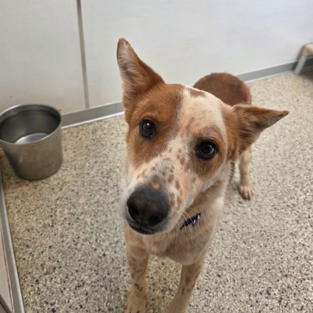 Hello my name is Maxie