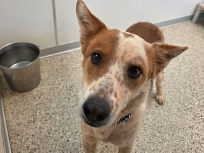 Hello my name is Maxie