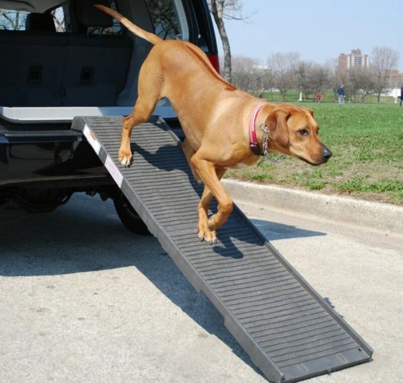 PetStep Pet Ramp Folding Portable Dog Ramp