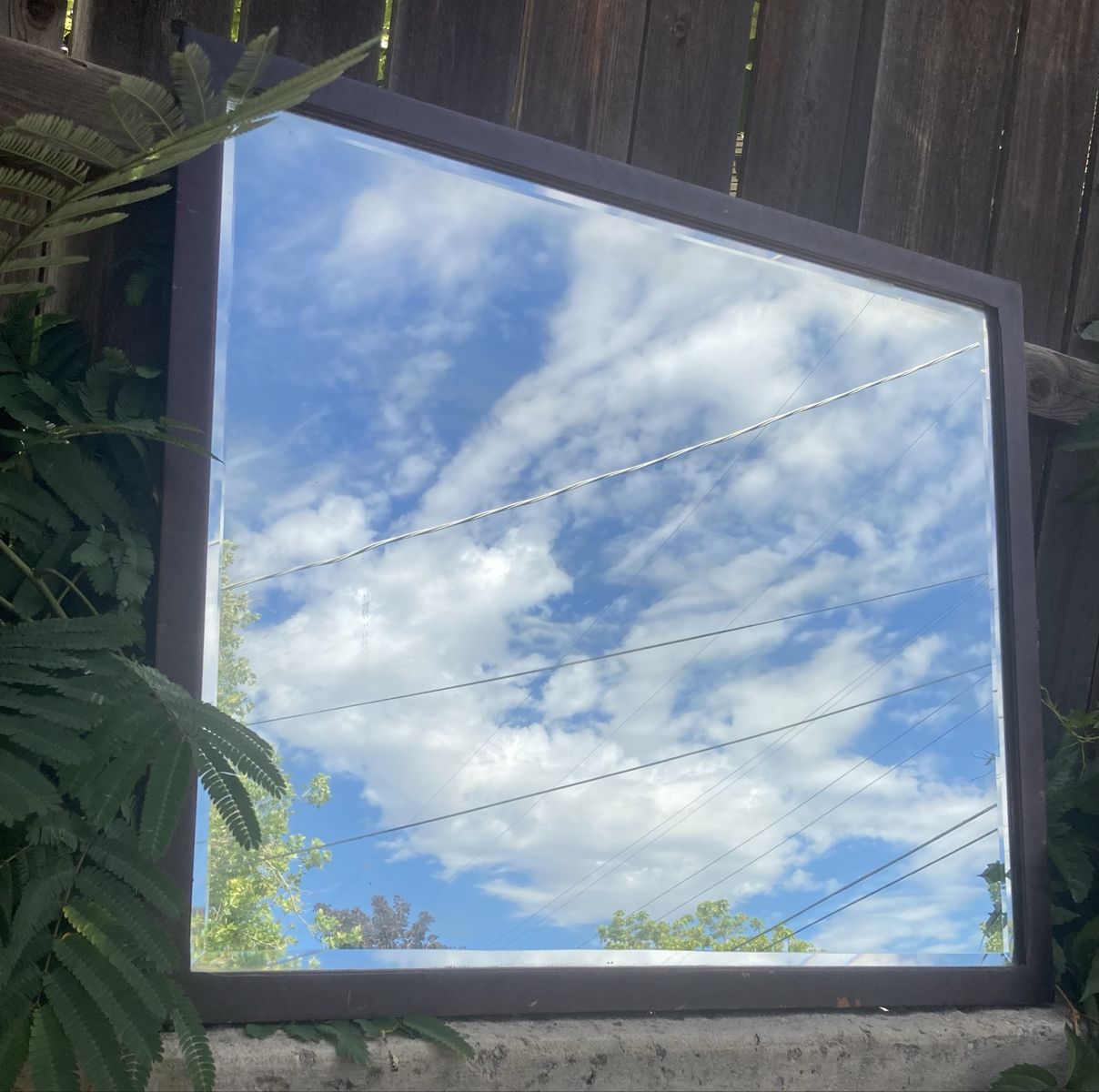 Vintage Beveled Large Square Mirror with Dark Wood Frame - Wall Mountable Decor
