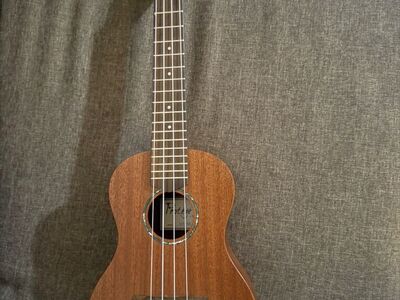 Protege by Cordoba Concert Ukulele