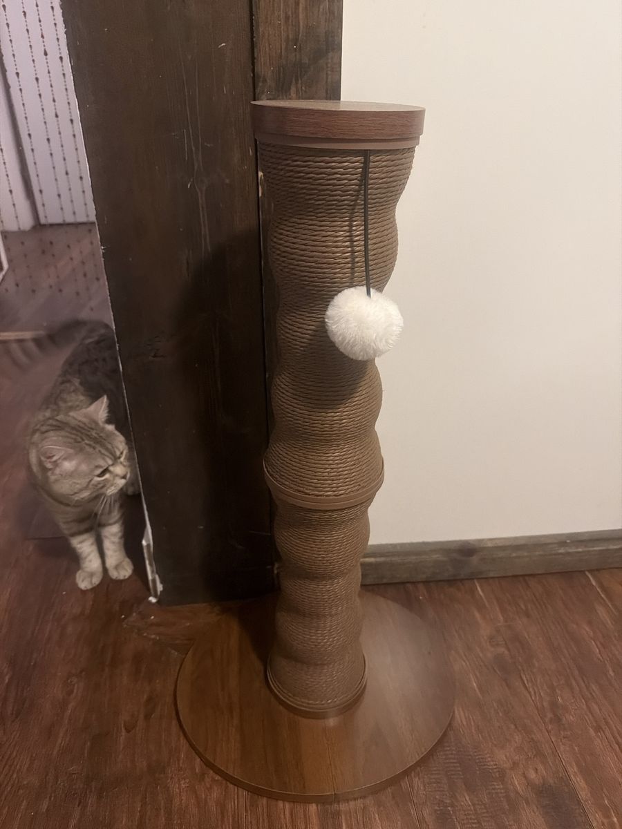 Costco cat scratcher brand new cat included 