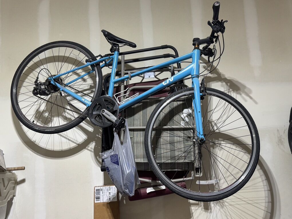 Liv Alight 3 Womens Bike Medium