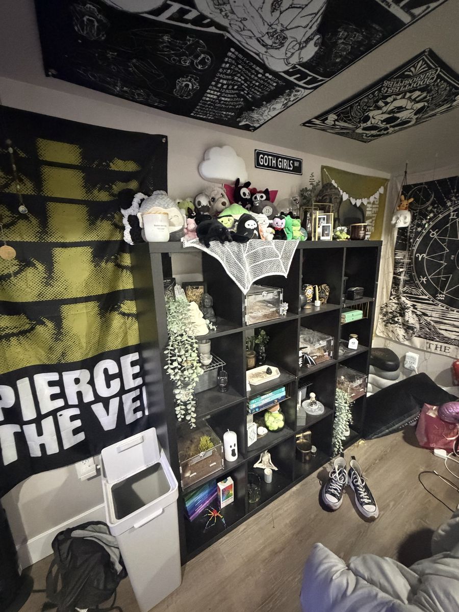 Ikea Kallax Shelf