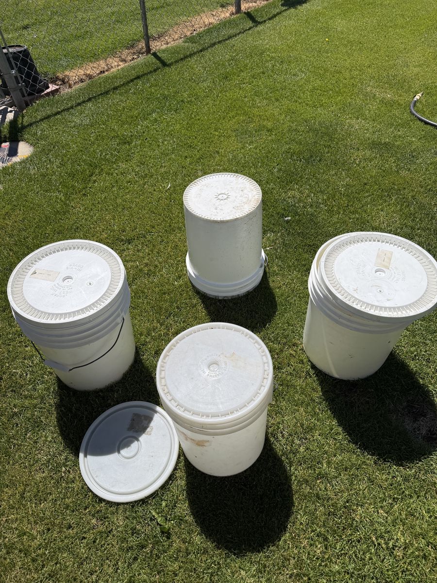 4 Used White 5-Gallon Plastic Buckets with Lids - Durable Storage Containers