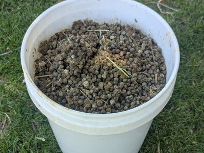 Fertilizer - Rabbit Manure