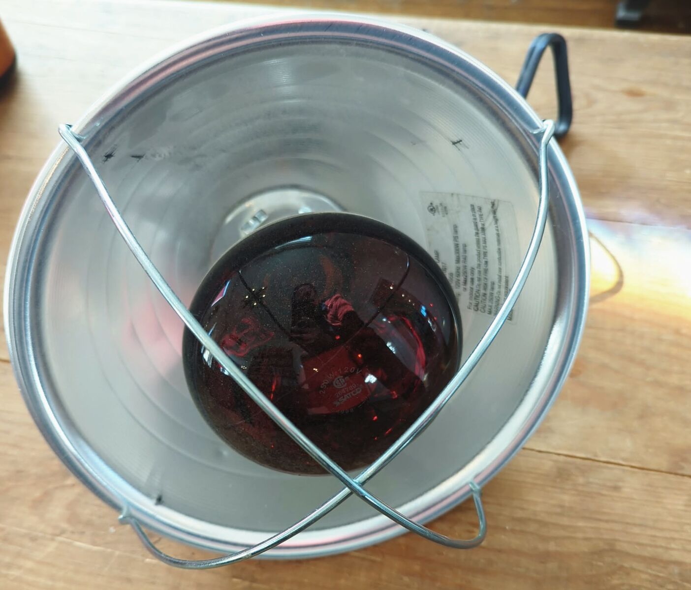 Brooder Heat Lamp with 250 W Bulb