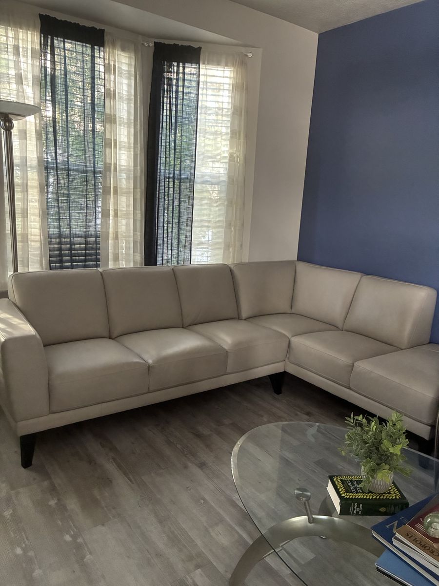 Leather sectional