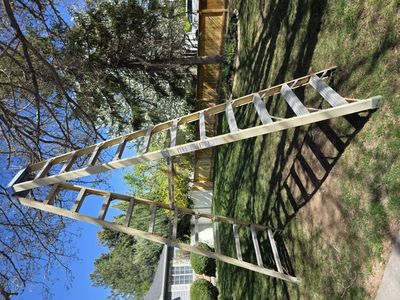 12 foot ladder extra heavy duty