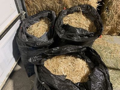 Loose (Bagged) Organic Straw
