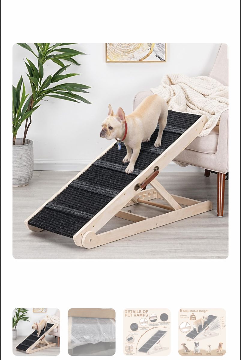 Dog ramp