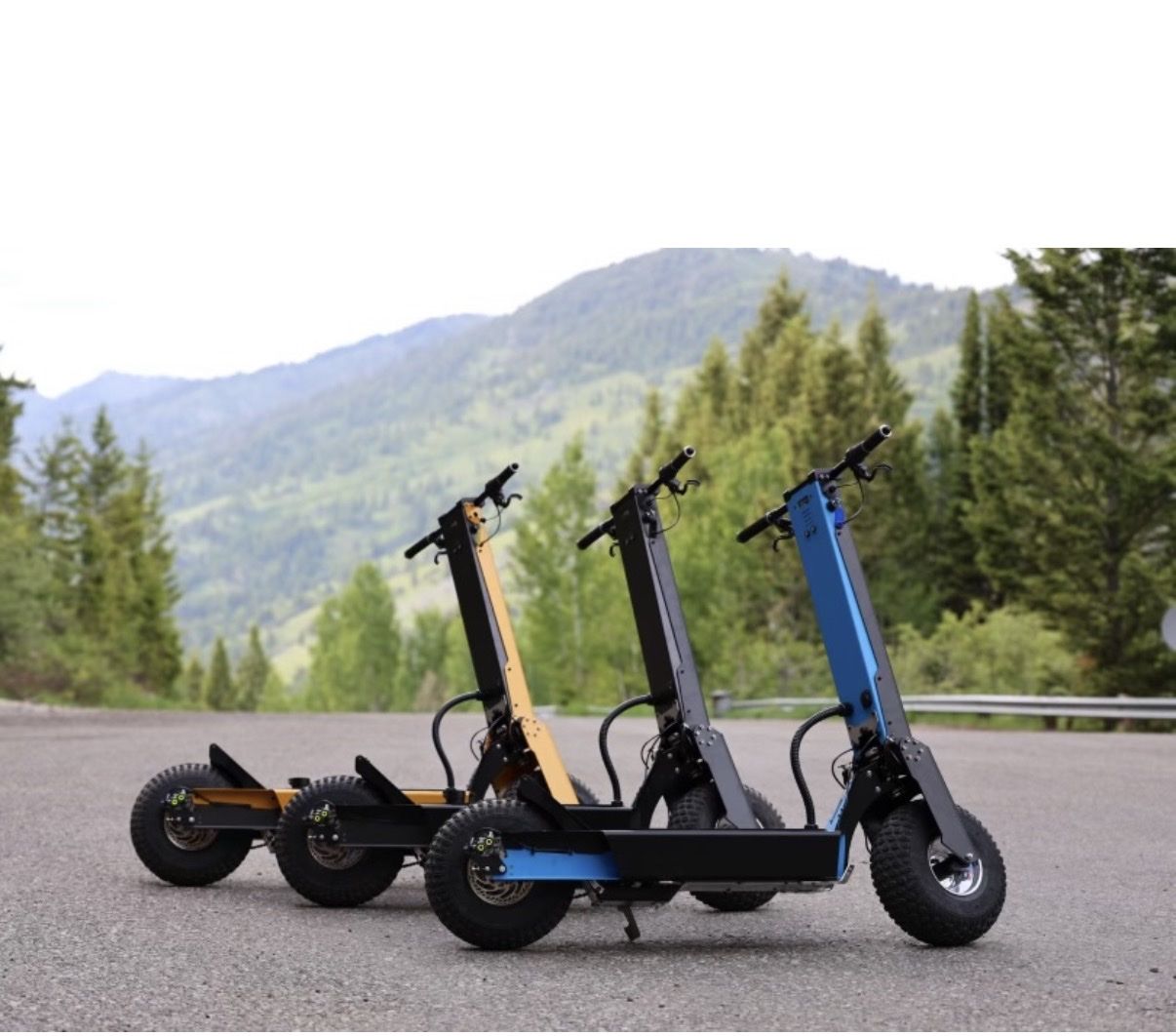 Heavy-Duty All-Terrain Electric Scooter with Fat Tires and Disc Brakes SELLING AT A HUGE LOSS!