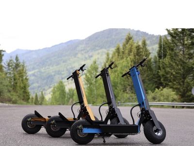 Heavy-Duty All-Terrain Electric Scooter with Fat Tires and Disc Brakes SELLING AT A HUGE LOSS!