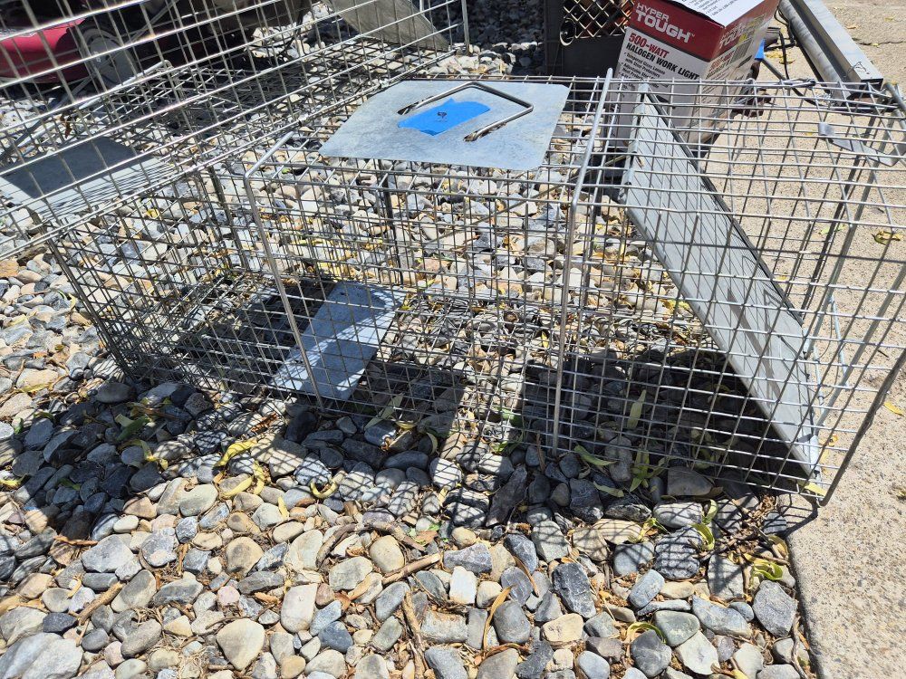 Main image 2