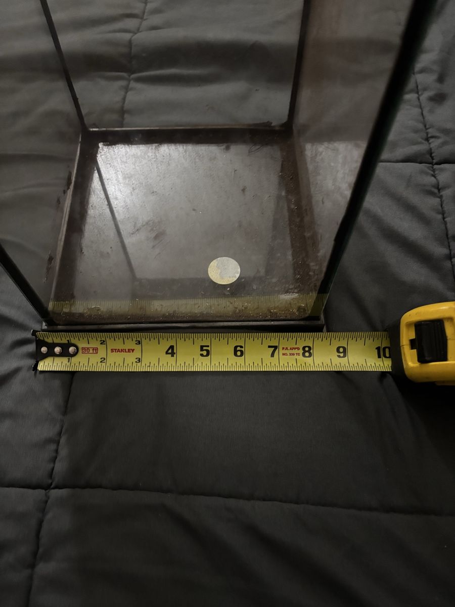 Main image 5