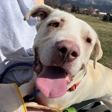 Hello my name is Daryl